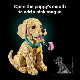 LEGO® Icons Golden Retriever Puppy 11384