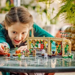LEGO® Harry Potter™ Hogwarts™ Castle: Herbology Class 76445