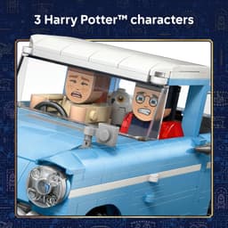 LEGO® Harry Potter™ Enchanted Flying Ford Anglia™ 76470