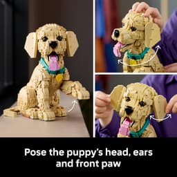 LEGO® Icons Golden Retriever Puppy 11384