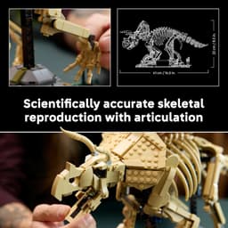 LEGO® Jurassic World Dinosaur Fossils: Triceratops 77985  B0FPXJL3QZ